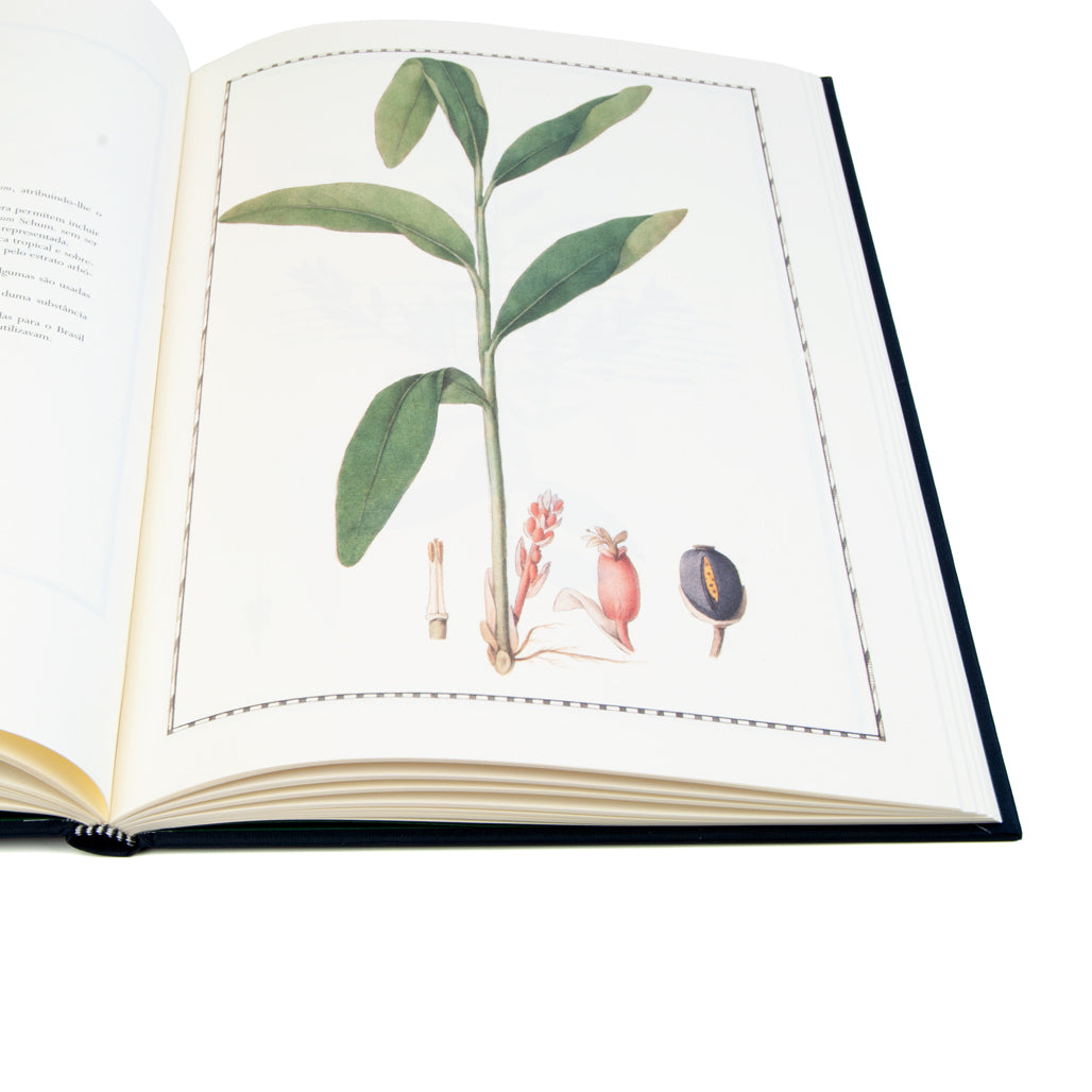pormenor do miolo do livro Plantas do Brasil, de José Eduardo Mendes Ferrão. Edição ilustrada de luxo da Chaves Ferreira Publicações sobre botânica histórica.