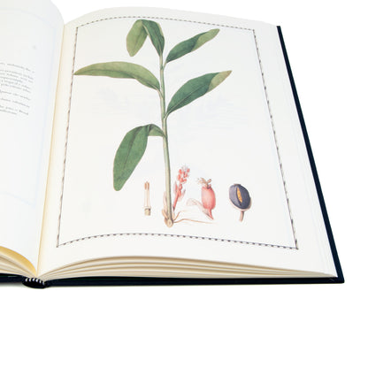pormenor do miolo do livro Plantas do Brasil, de José Eduardo Mendes Ferrão. Edição ilustrada de luxo da Chaves Ferreira Publicações sobre botânica histórica.