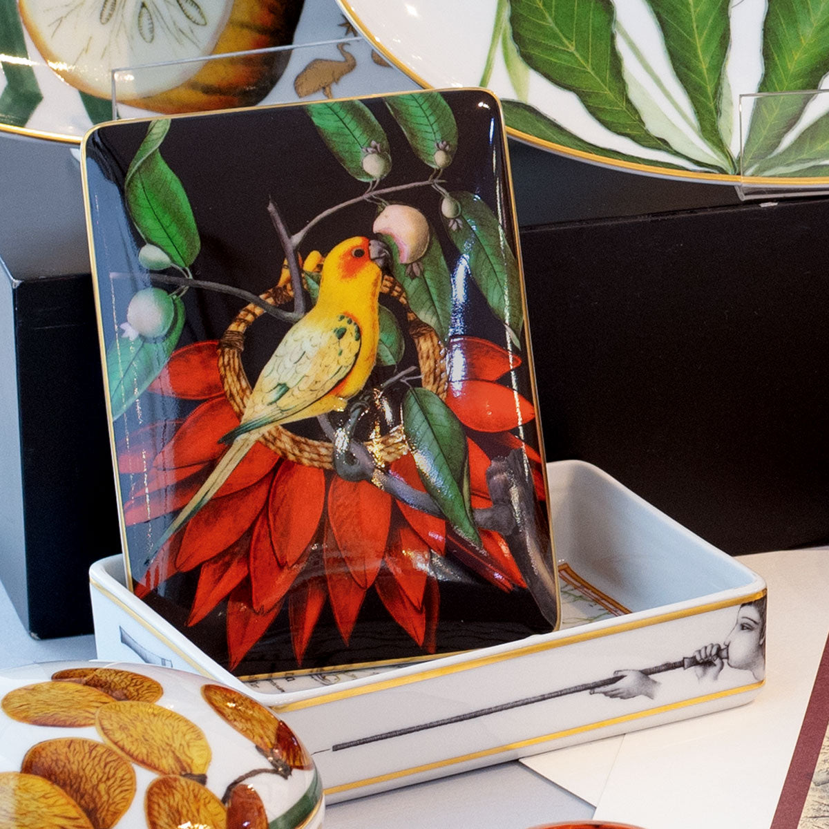 Caixa em porcelana para cartas Vista Alegre coleção Amazónia com tampa ilustrada com ave exótica.