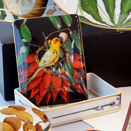 Caixa em porcelana para cartas Vista Alegre coleção Amazónia com tampa ilustrada com ave exótica.
