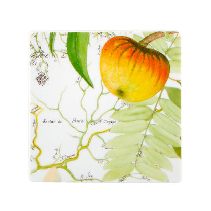 Base para copos em porcelana Vista Alegre Amazónia com ilustração de fruto amarelo exótico.