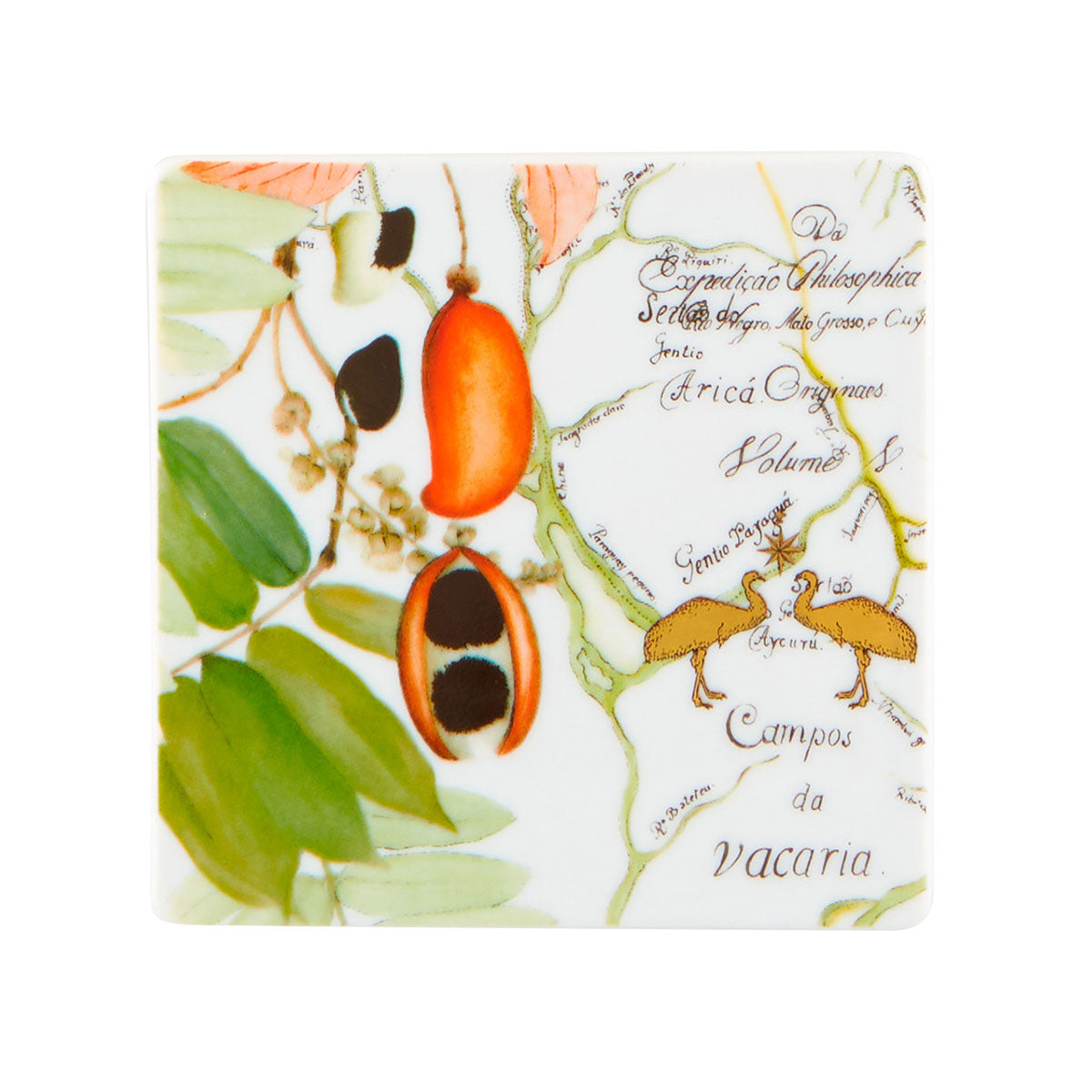 Base para copos em porcelana Vista Alegre Amazónia ilustrada com vagem e sementes tropicais.