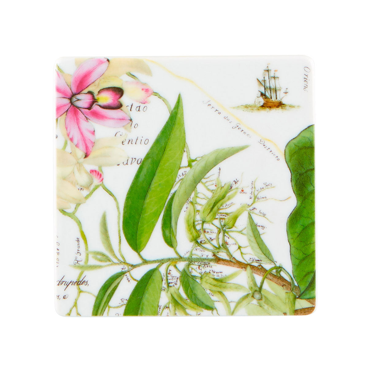 Base para copos em porcelana Vista Alegre Amazónia com detalhe de folhagem verde e flor rosa.