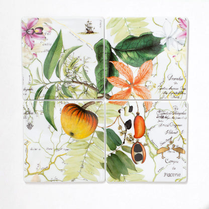 Conjunto de 4 bases para copos em porcelana Vista Alegre Amazónia agrupadas formando um painel botânico