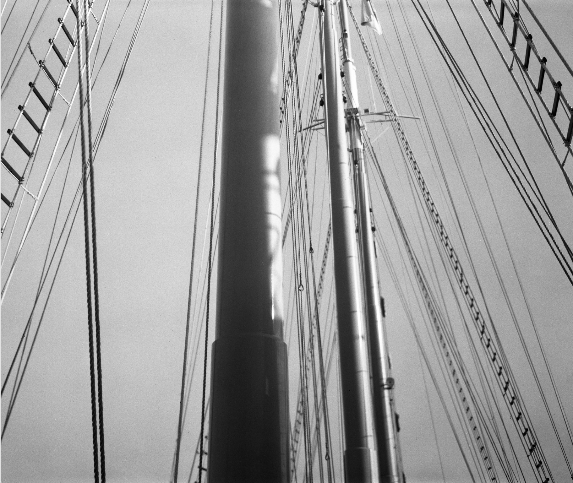 Grand Banks - Exposição de Luis Miguel Monteiro